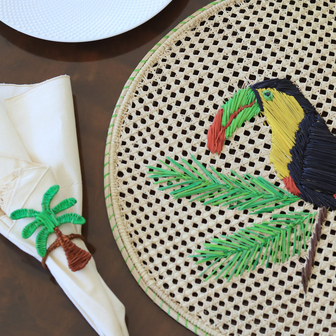 Toucan Placemat image 0