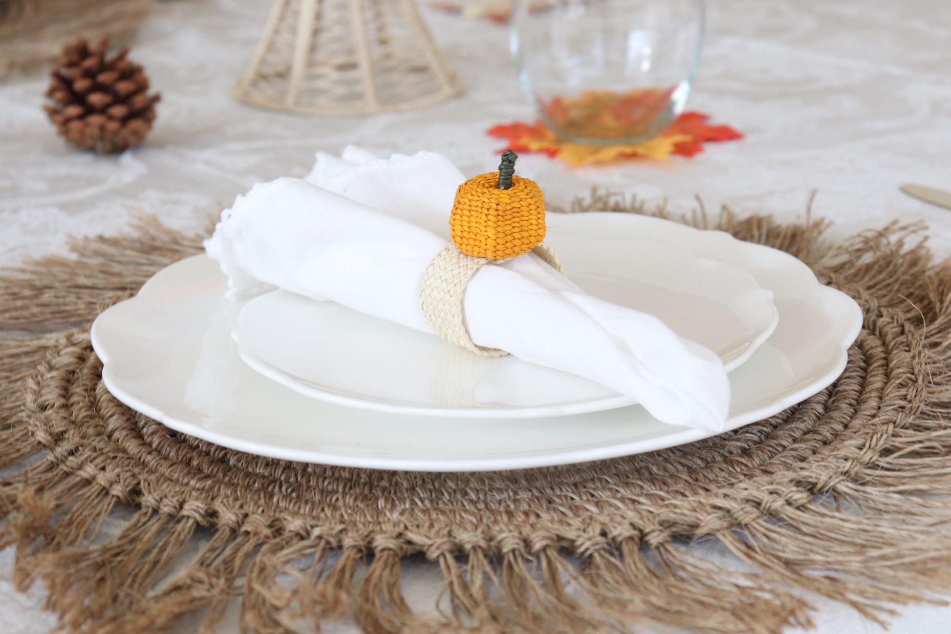 Fique Fringe Placemats image 2