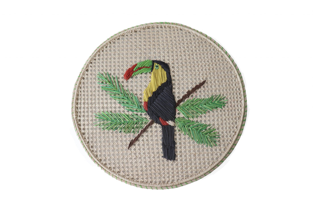 Toucan Placemat image 0